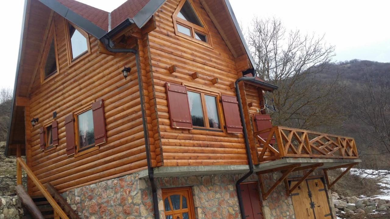 Vila Jelena Crni Vrh Exterior photo