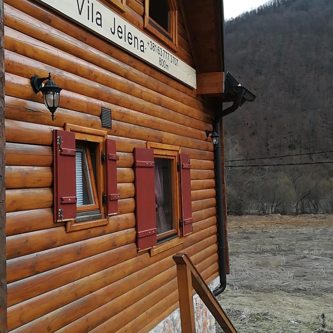 Vila Jelena Crni Vrh Exterior photo