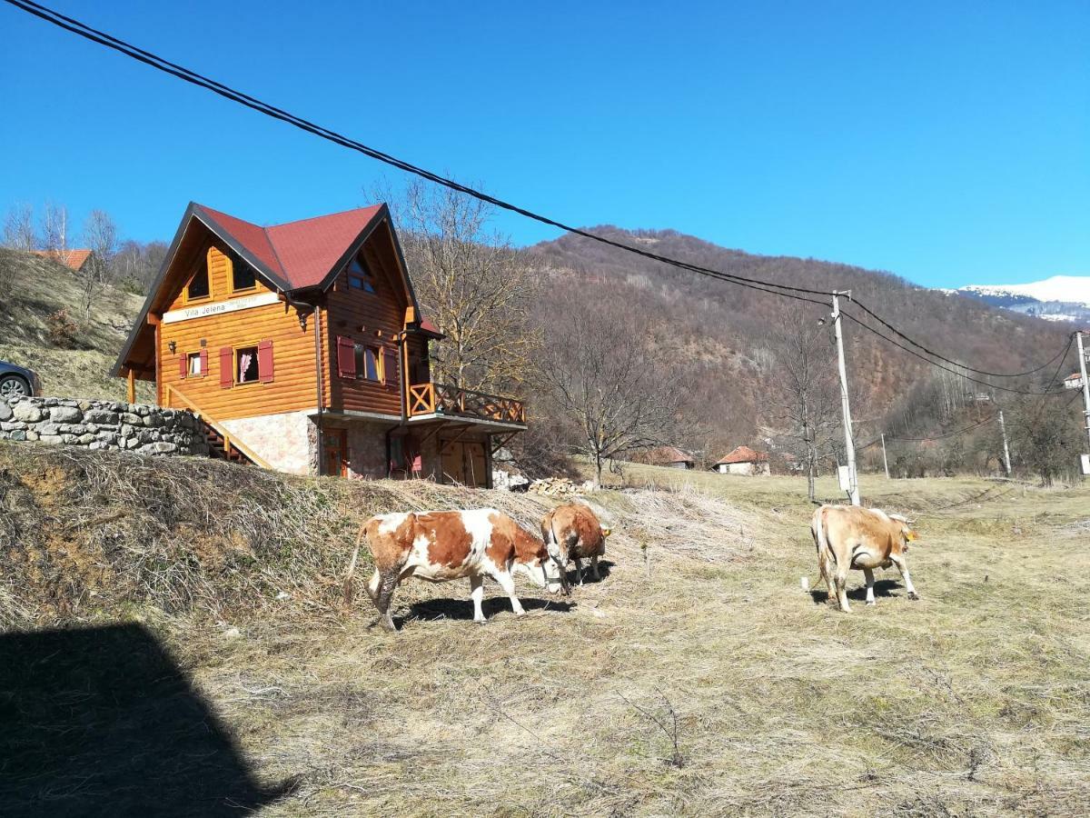 Vila Jelena Crni Vrh Exterior photo